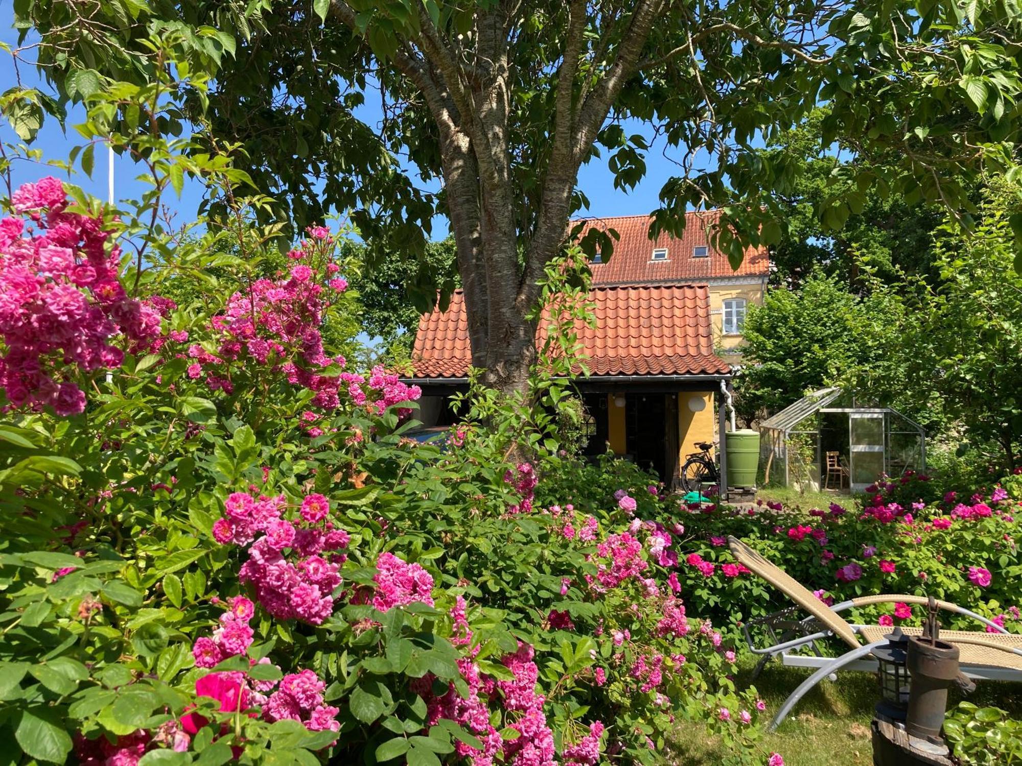 Den Gamle Skomager Hytte Ved Slotssoen 그라스텐 외부 사진